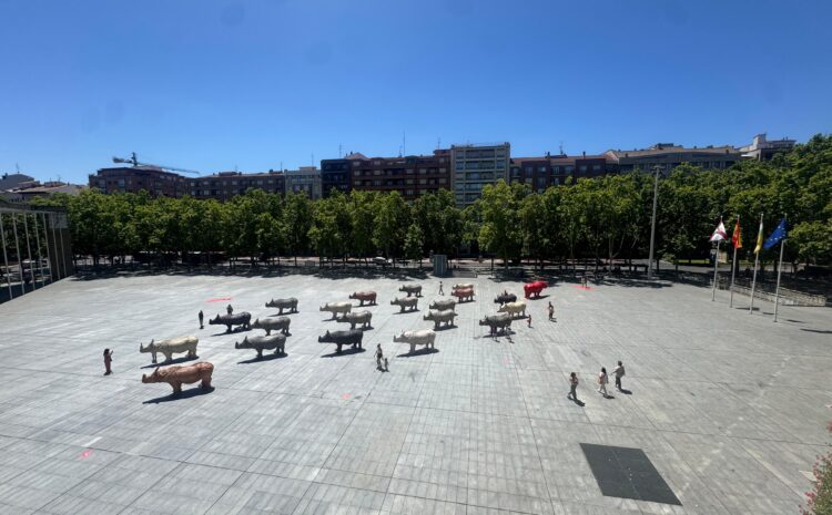  Liderazgo: Una manada de rinocerontes en la Plaza del Ayuntamiento de Logroño